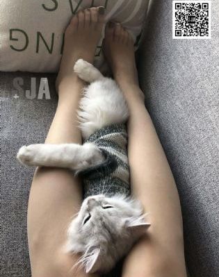 暖暖视频高清电视剧在线观看免费_超清全集免费观看